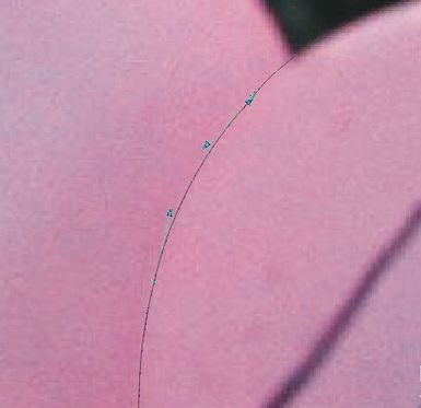 CORELDRAW 12快速抠图的操作教程