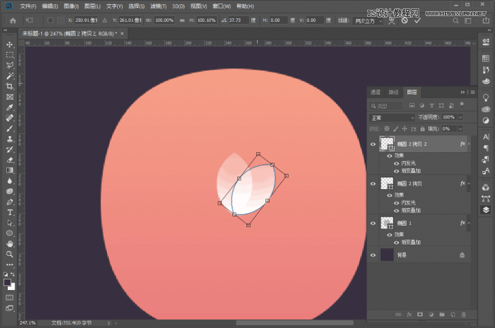 绘制简约平面荷花APP图标的PS实例教程