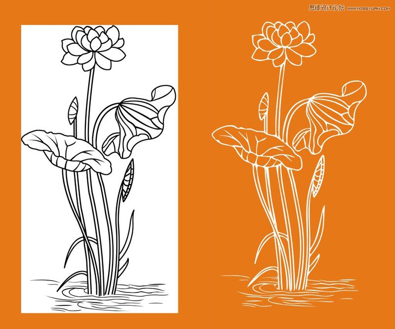 CorelDraw软件勾勒出荷花线条图片效果