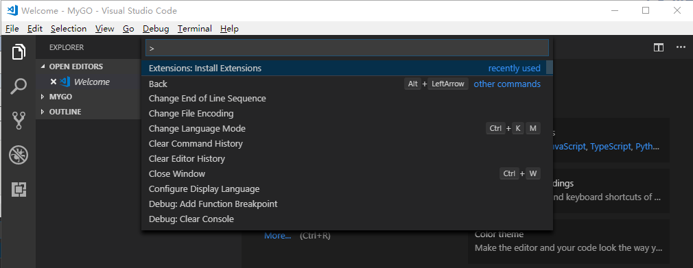 Go 语言 IDE 中的 VSCode 配置使用教程