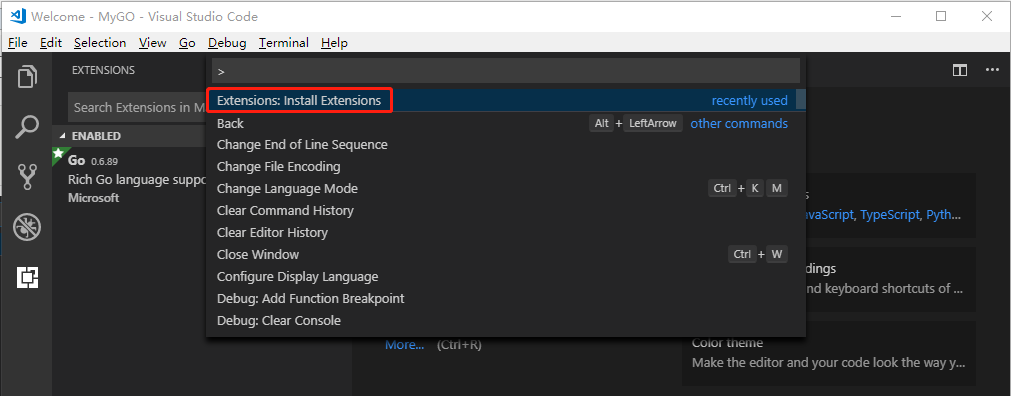 Go 语言 IDE 中的 VSCode 配置使用教程