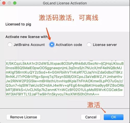 Goland激活码破解永久版及安装详细教程(亲测可以)