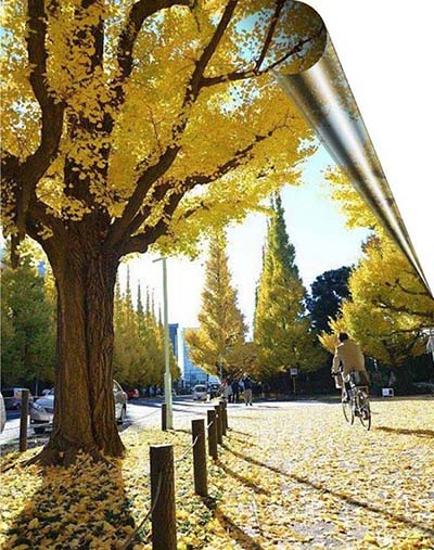 CDR图片怎么添加书页卷边效果?