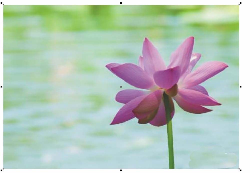 CDR2017中LiveSketch工具有什么作用?