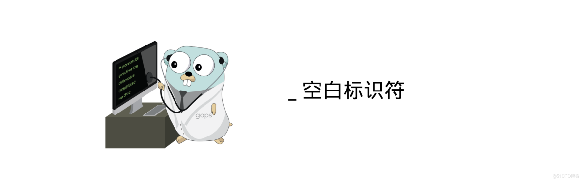 Go 中的空白标识符下划线