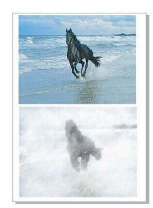 cdr怎么给图片添加朦胧效果?