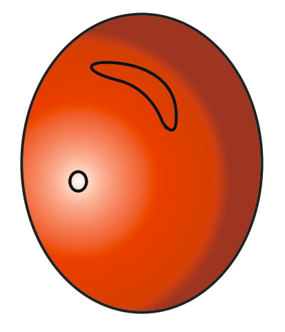 cdr怎么画立体球体? cdr画气球的教程