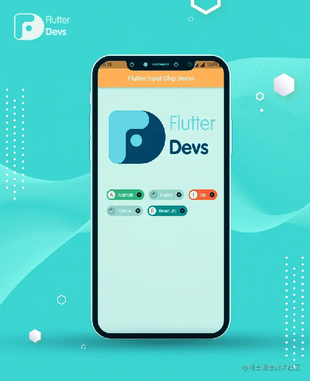 Flutter使用 input chip 标签组件示例详解