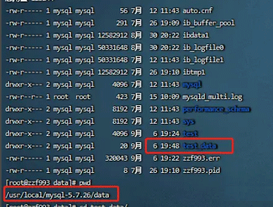 Mysql和文件系统的关联详情