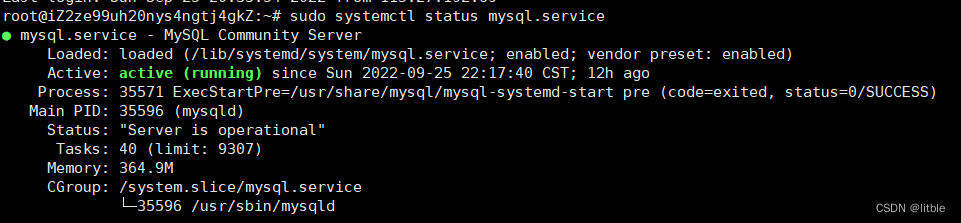 在linux服务器上配置mysql并开放3306端口的操作步骤