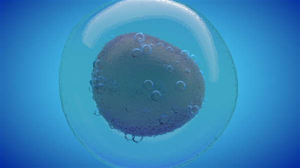 专家：艾滋病已是可防可控可治的慢性病