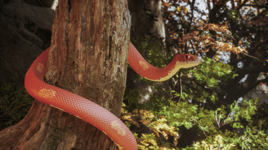 真材实料超出片!《黑神话:悟空》绝美截图赏析